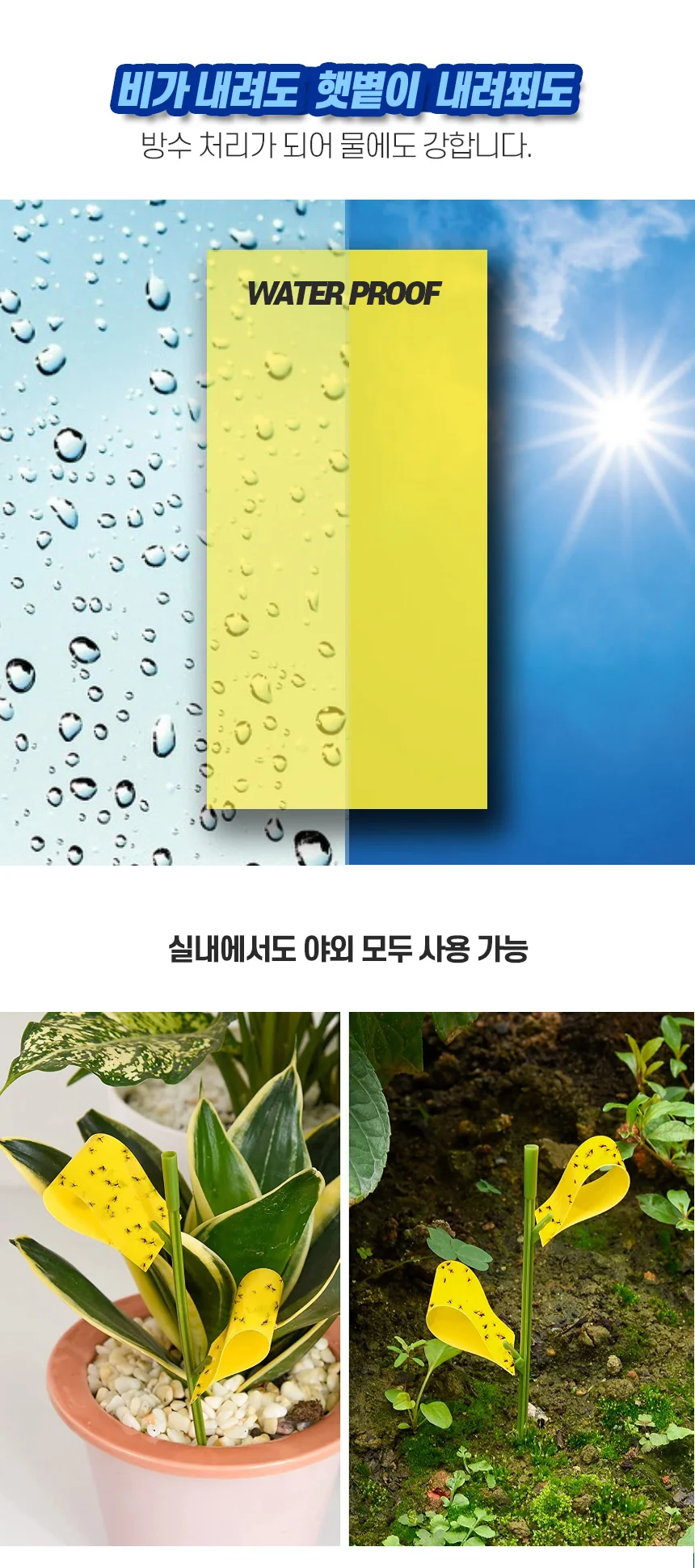 초파리 끈끈이 뿌리 트랩 날벌레 식물용 잡이 해충 실내 정원 포획기 상세4