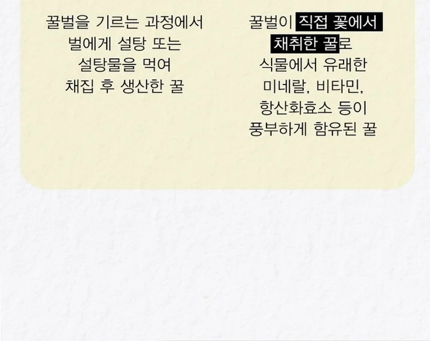 베트남 야생화 100% 자연산 벌꿀 500g 상세2