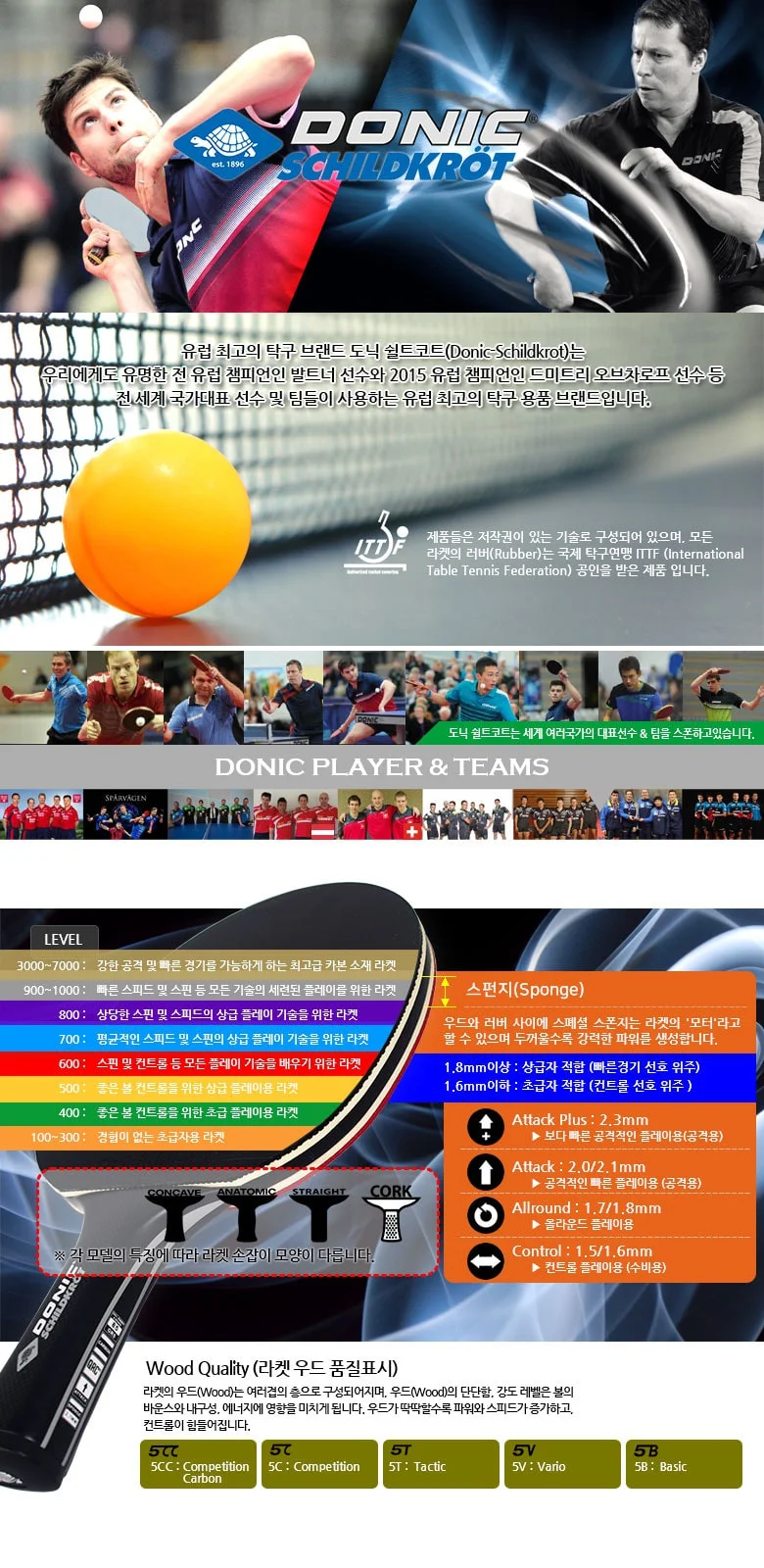 도닉 탁구라켓 TOP TEAM 800 탁구채 탁구용품 상세1