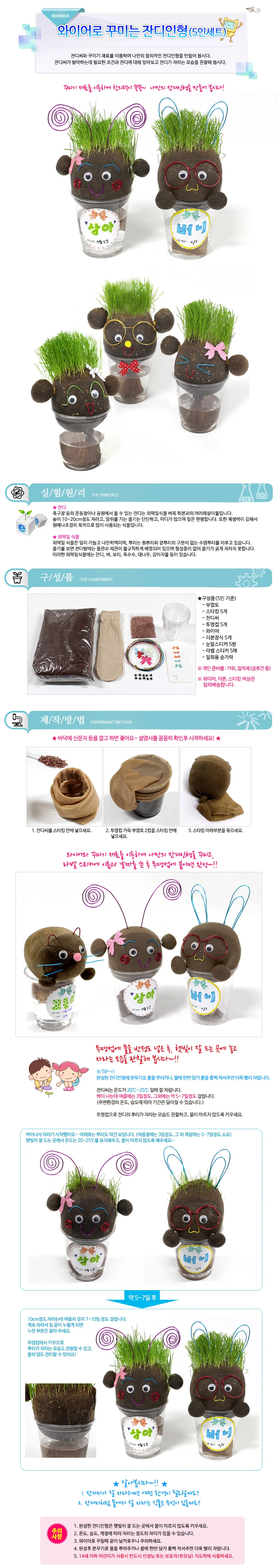 잔디인형 키우기 식물 5인세트 상세1
