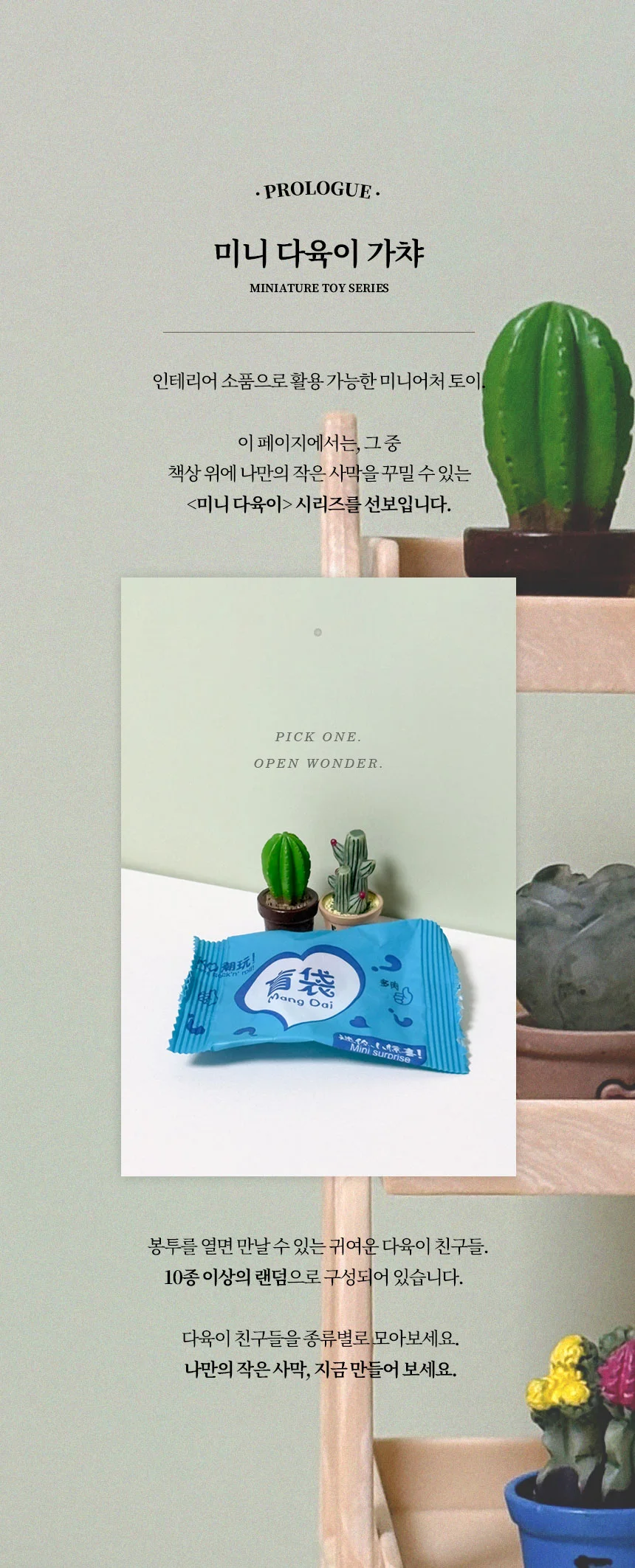 다육이 미니어처 랜덤 가챠 테라리움 화분피규어 10p 상세3