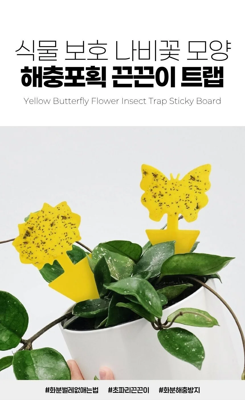 나비모양 해충끈끈이트랩 식물보호용 실내외 벌레차단 상세1