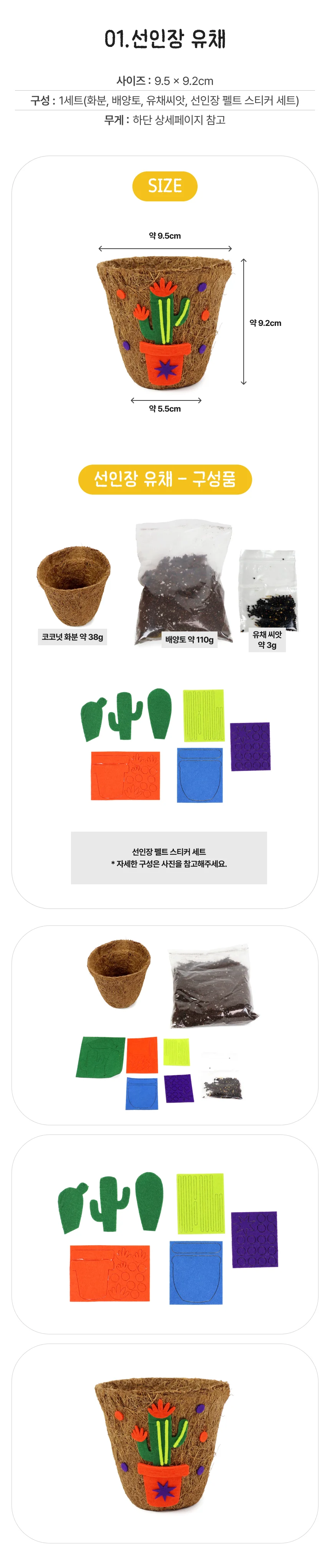 새싹채소 코코넛 화분 꾸미기 꿀벌 보리 상세2