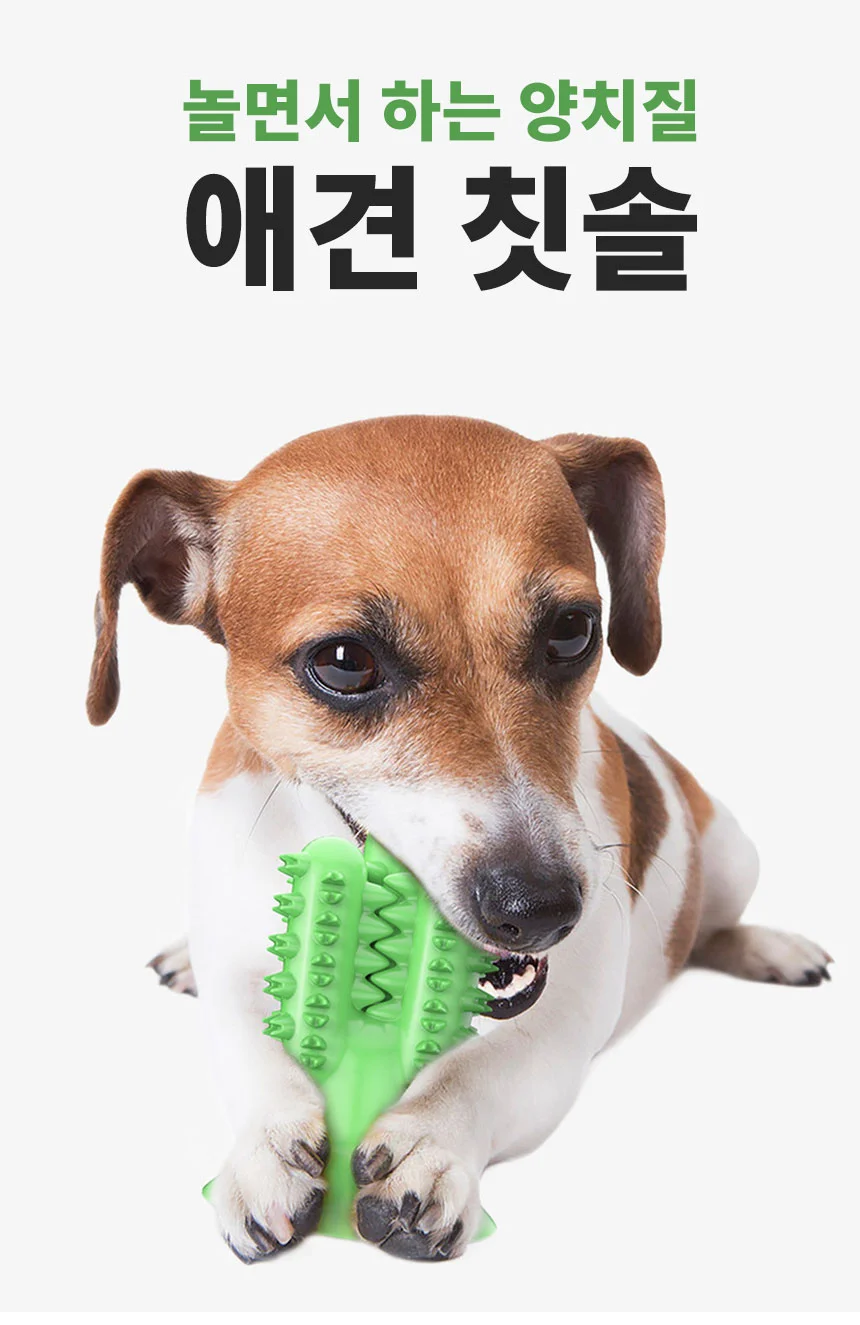 강아지 선인장 셀프 칫솔 양치 치석제거 장난감 상세1