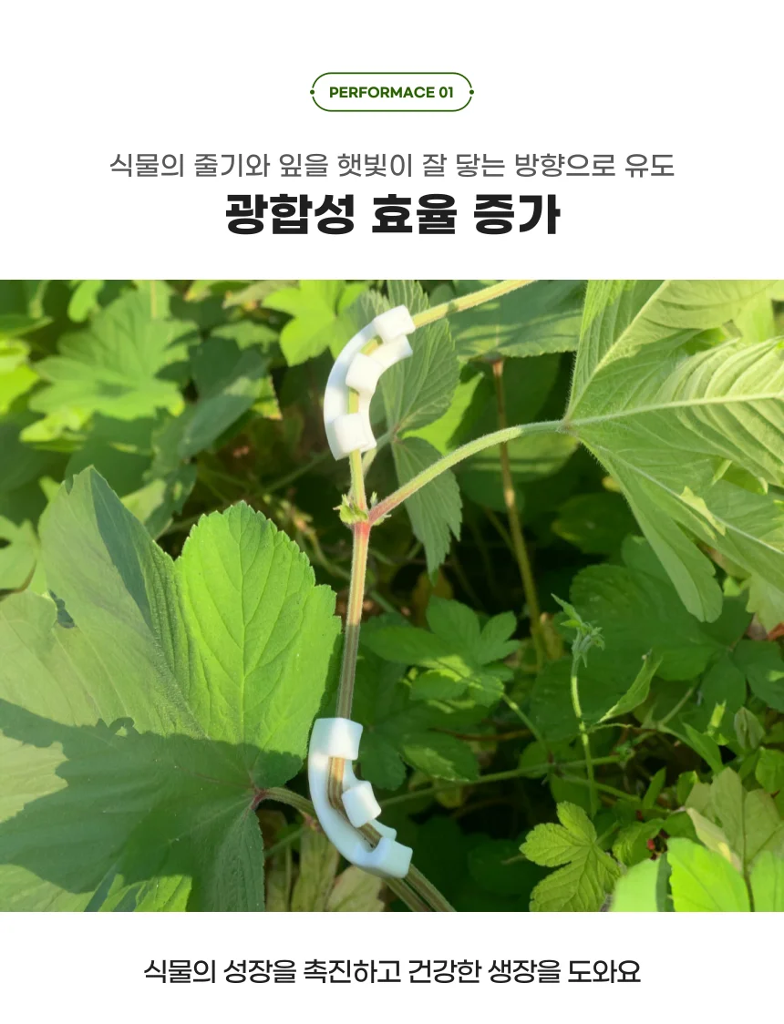 유인기 가이드툴 화이트 10P 베란다텃밭용품 줄기고정기 상세2