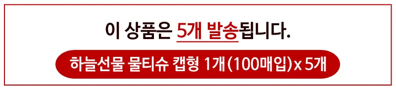 하늘 선물 물티슈 캡형 100매x(5개) 휴대형 유아 아기 상세1