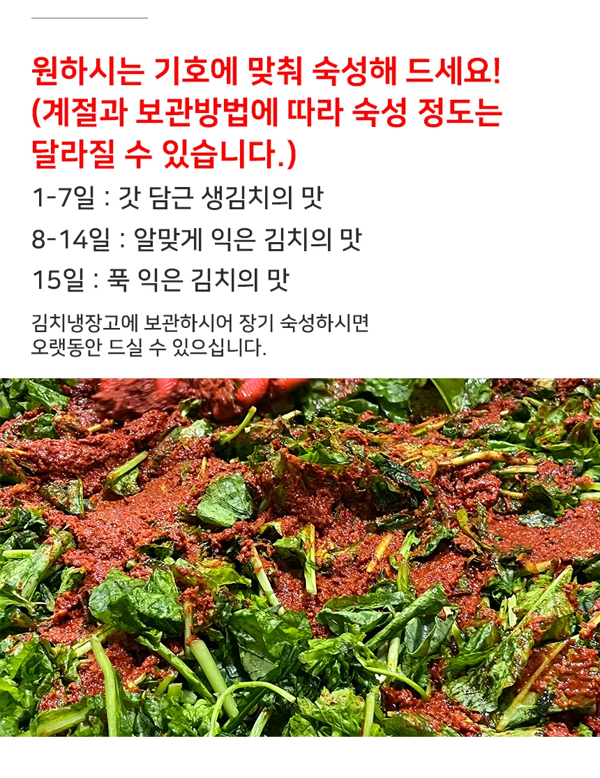 전라도 당일생산 열무자박이 김치 2kg (100% 국산재료) 상세4