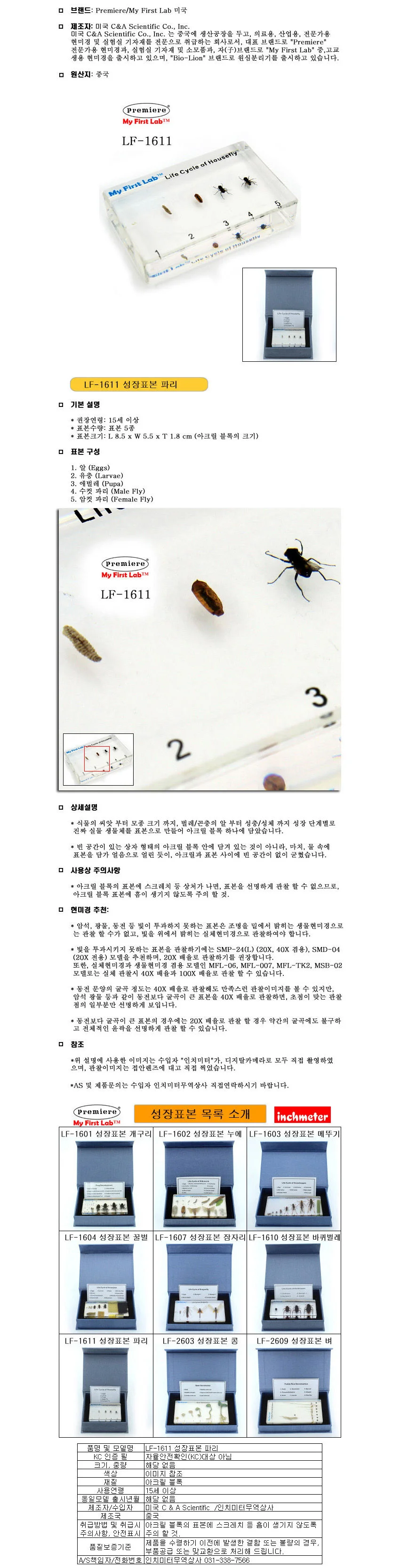 LF-1611 성장표본 곤충채집 표본벌레 곤충박제 상세1