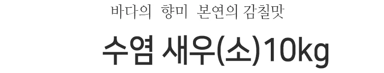수염새우 10kg 상세2