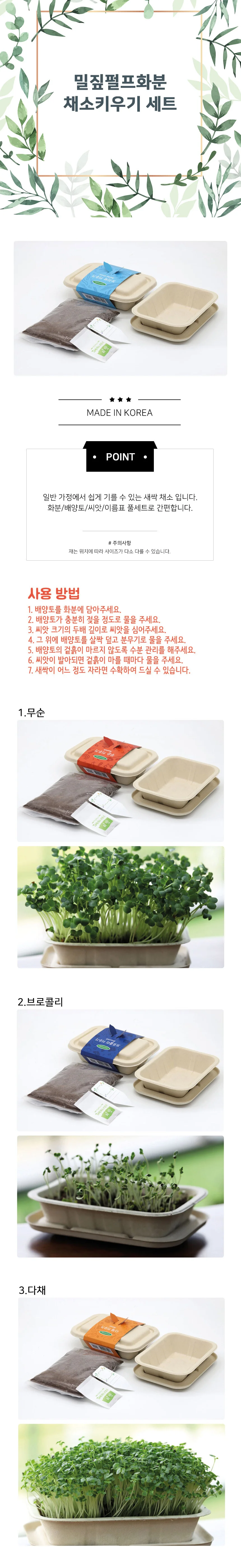 식물 무순 미니 실내 심기 재배 교구 모종 인테리어 키우기 상세1