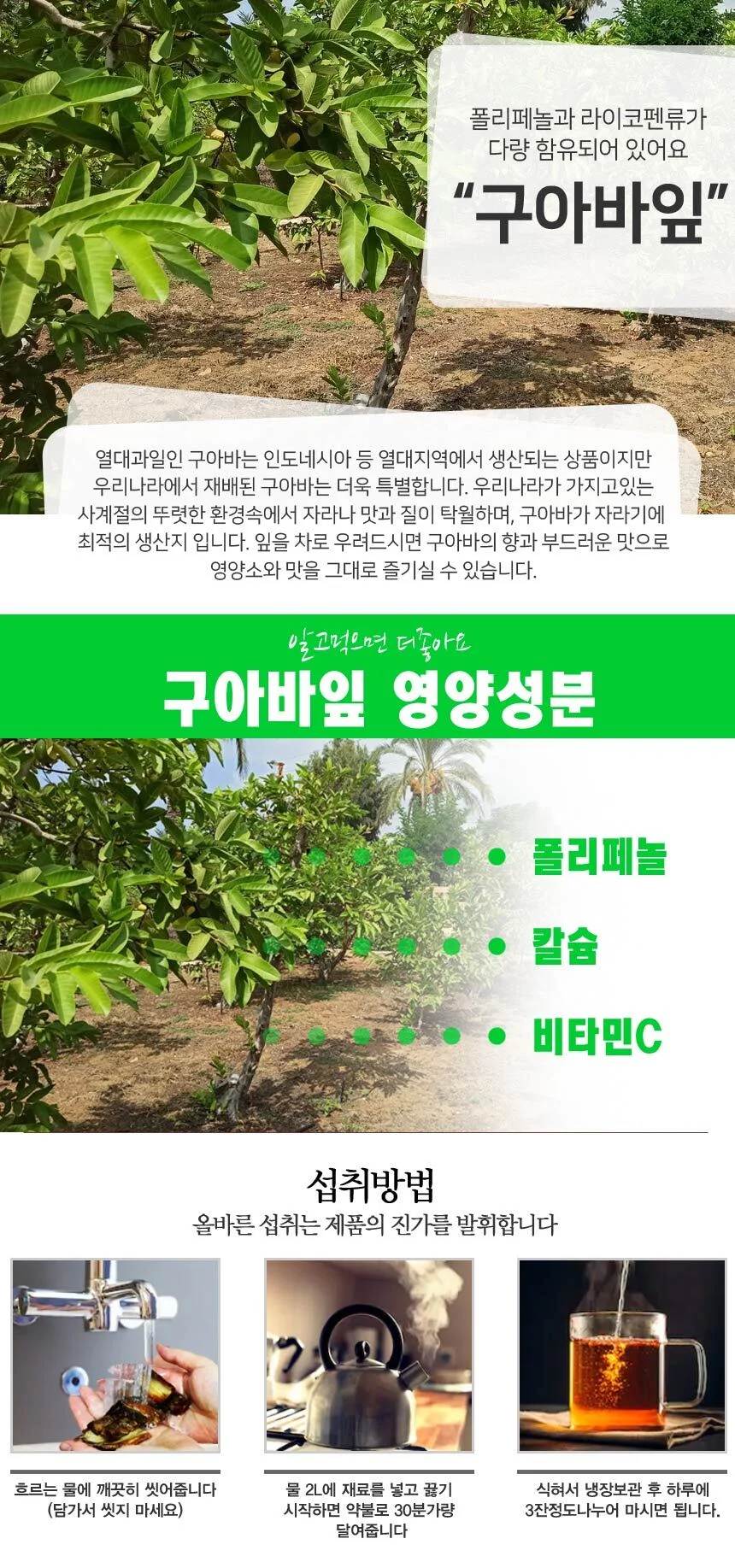 산해랑 구아바잎(국내산) 100g 상세2