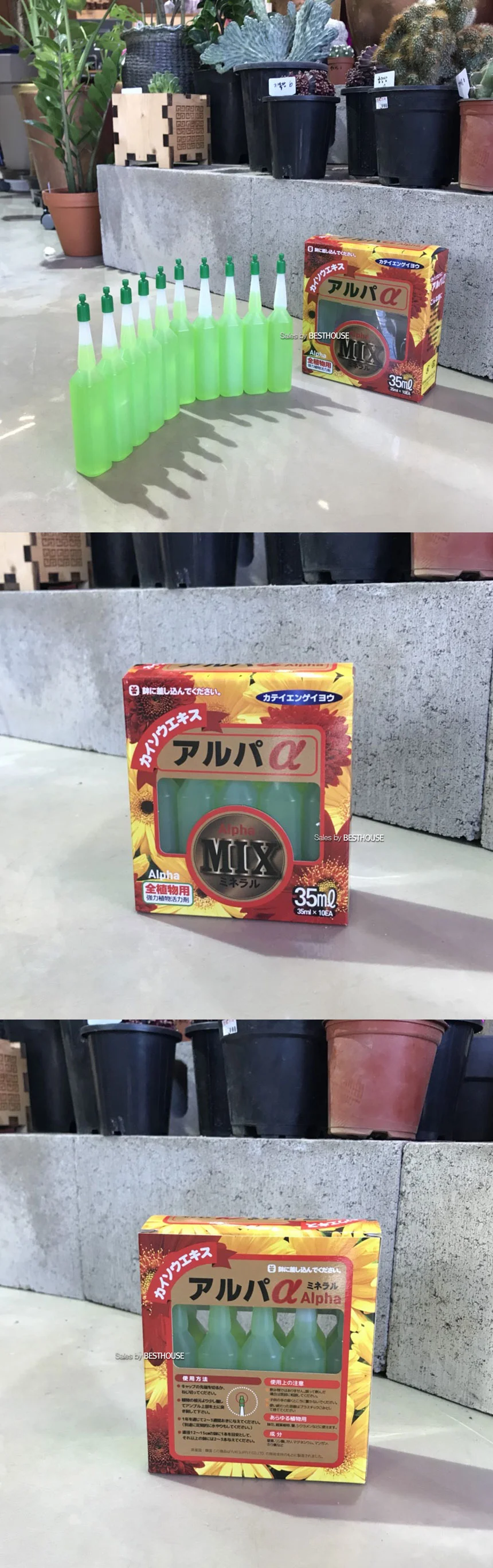 액체비료 식물영양제 다육 화초 소나무 앰플 10p 상세3