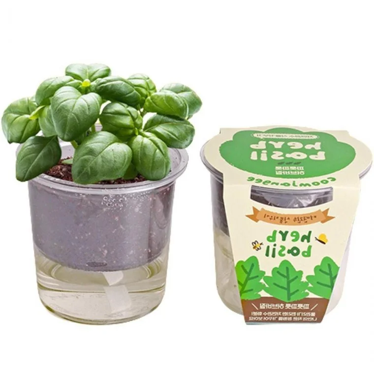DIY키트 바질키우기 허브화분 DIY키트 재배기 홈가드닝 화분 만들기키트