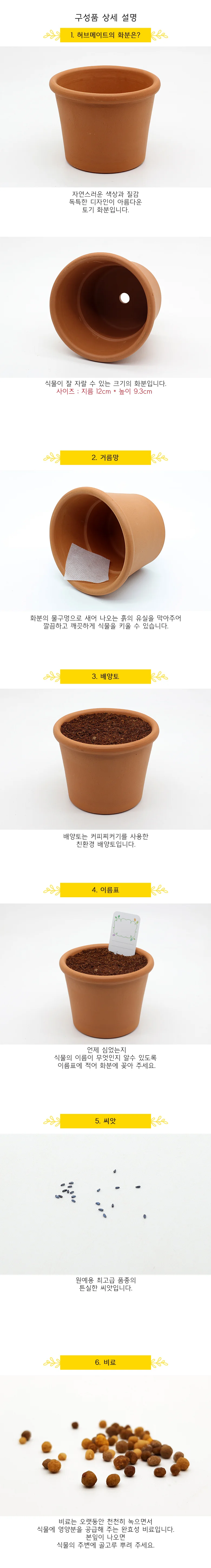 허브 레몬밤 박스 허브키트 허브씨앗 키우기쉬운식물 레몬밤키우기 상세2