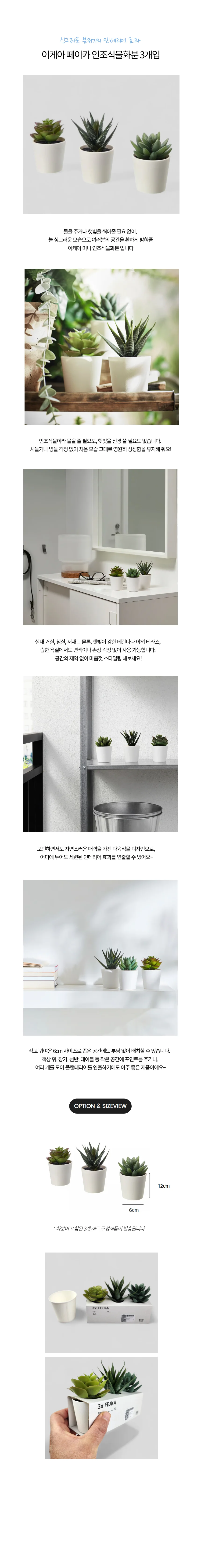 이케아 FEIKA 인조 식물 다육 화분 3개 세트 상세1