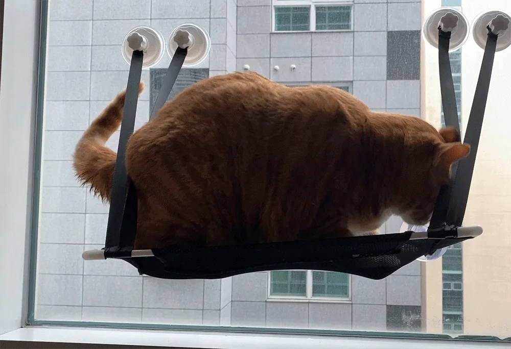 뚜또가또 고양이 윈도우 튼튼 해먹/1단/2단/25kg/뚱냥이 상세5