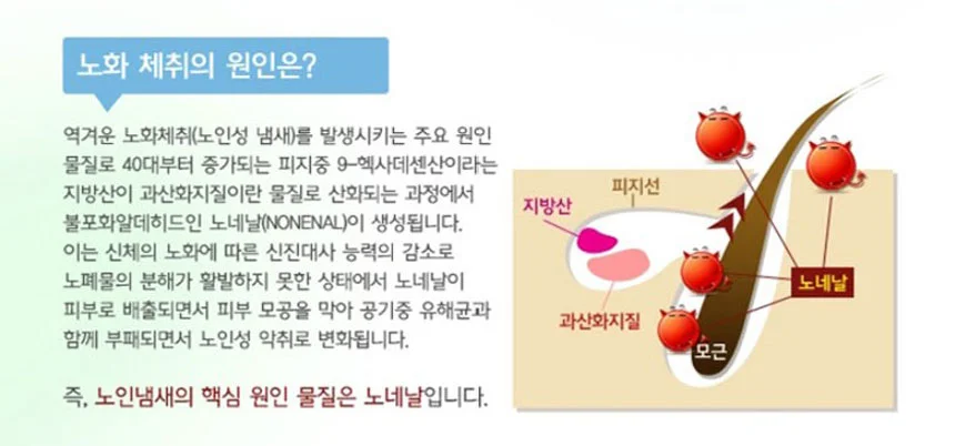 시니어 비누세안 클렌징폼 거품비누 세안비누 체 상세3
