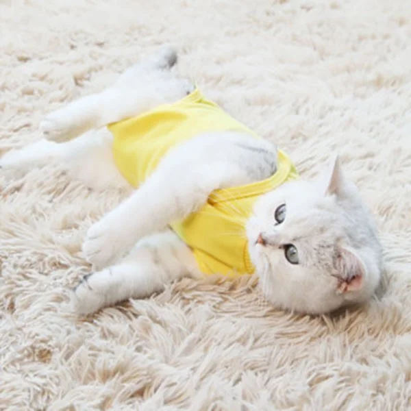 환견 환묘 보급형 중성화복 중성화수술복