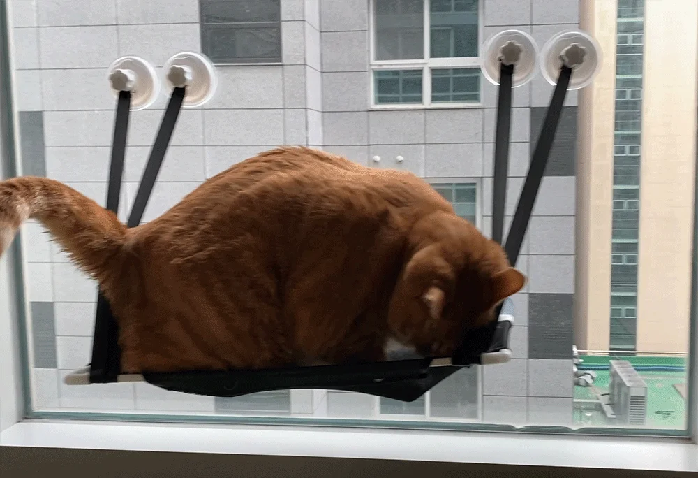 뚜또가또 고양이 윈도우 튼튼 해먹/1단/2단/25kg/뚱냥이 상세2
