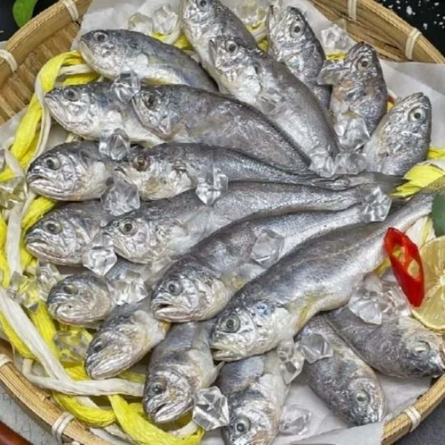 법성포 영광 굴비 40미 국내산조기 수산물선물