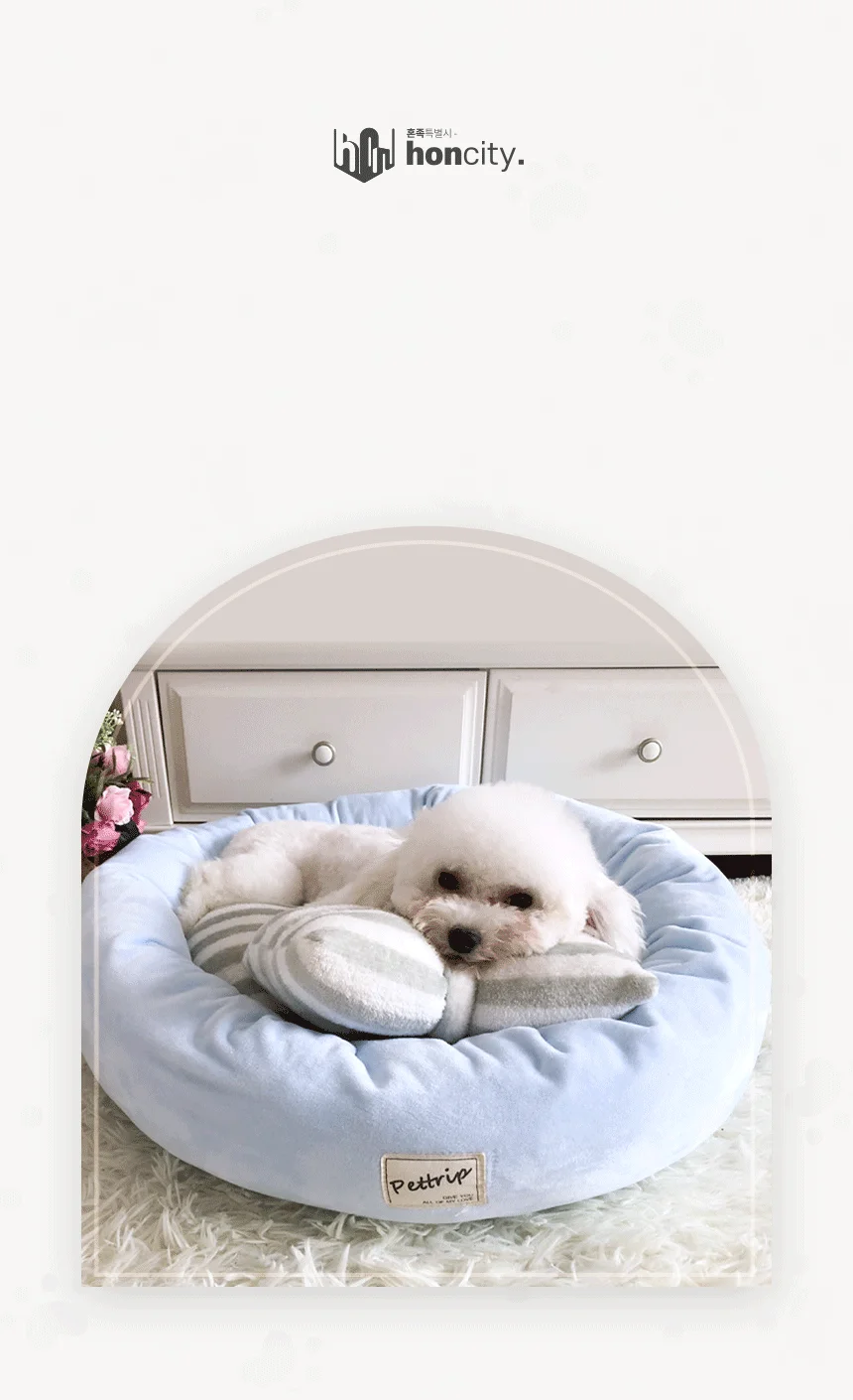 퍼피럽 강아지 극세사 쿠션 방석 블루 S SIZE 상세3