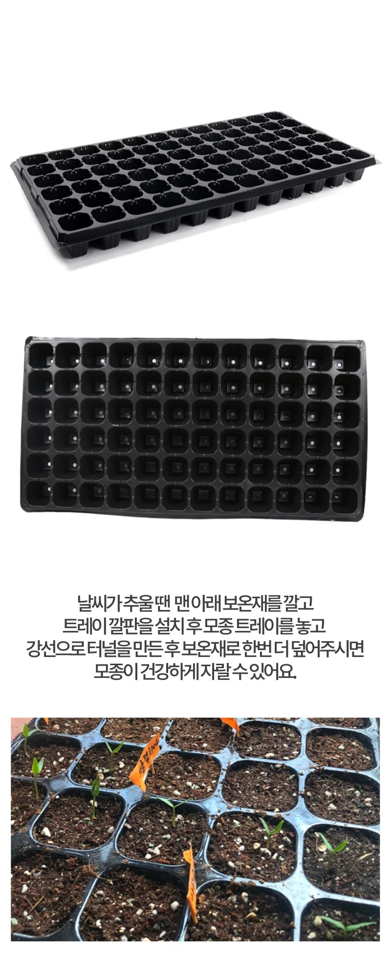 모종 트레이 모종판 육묘 육묘판 72구 상세3