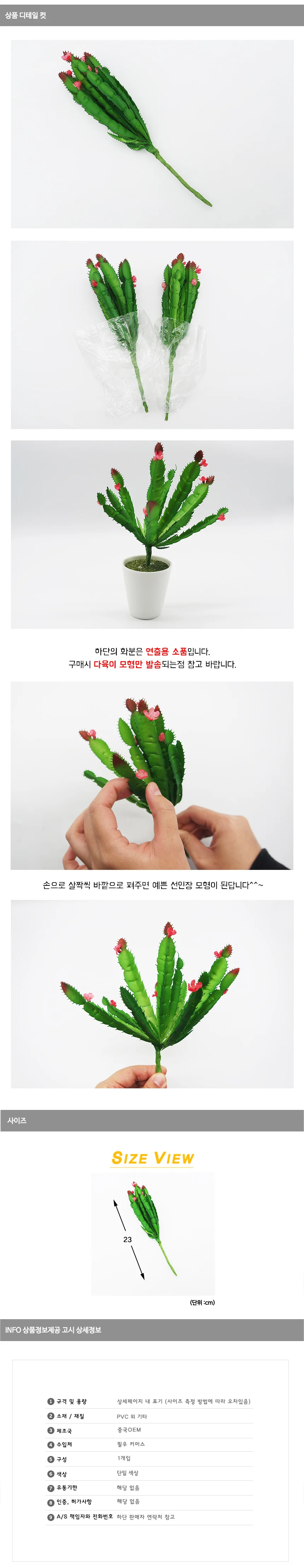 선인장 다육이조화 상세1