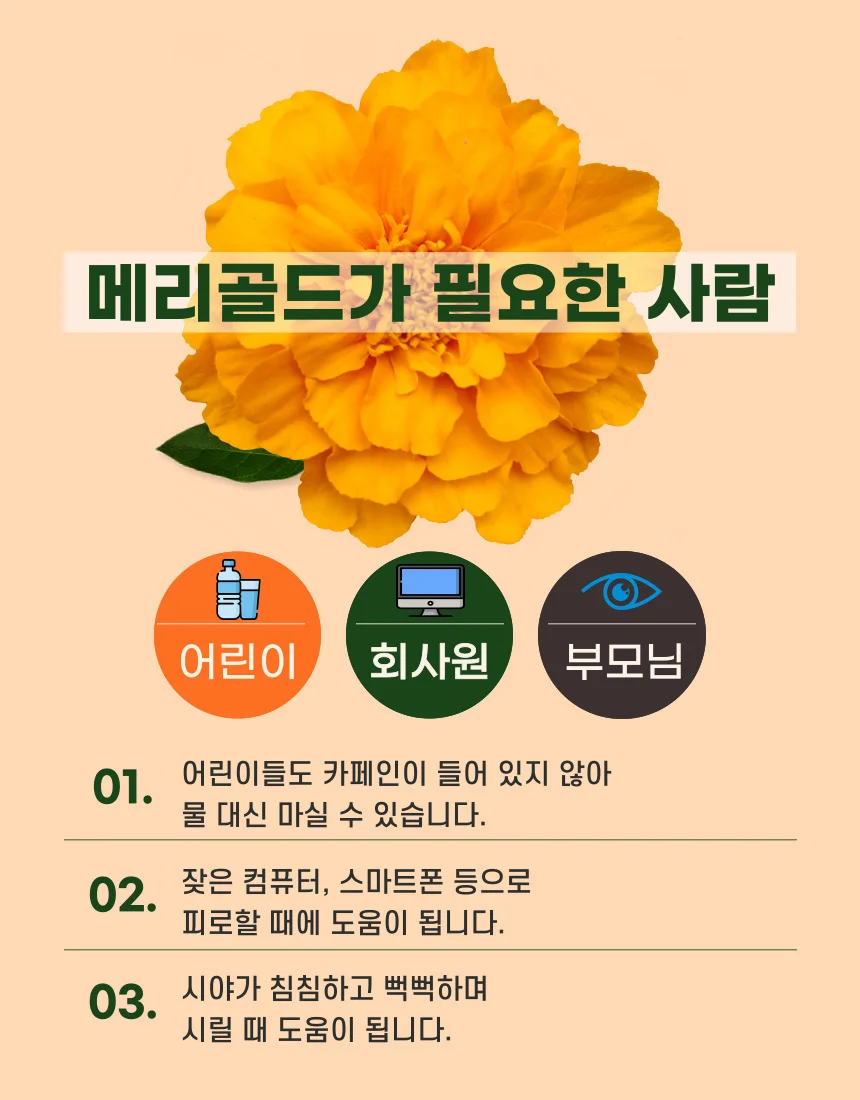 유기농 수제덖음 메리골드꽃차 상세3
