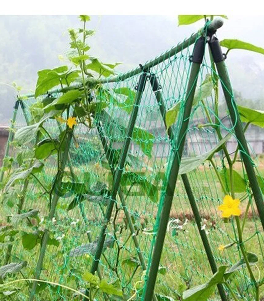 DIY 식물지지대 11mm 180x180cm 꽃지지대 고추지지대 상세4