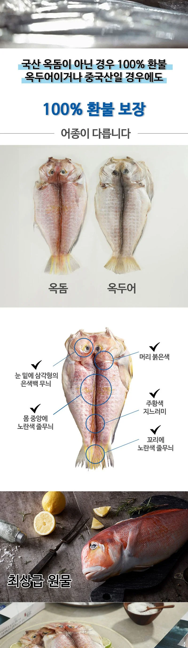 제주 참옥돔 실속 A호 선물세트 상세2