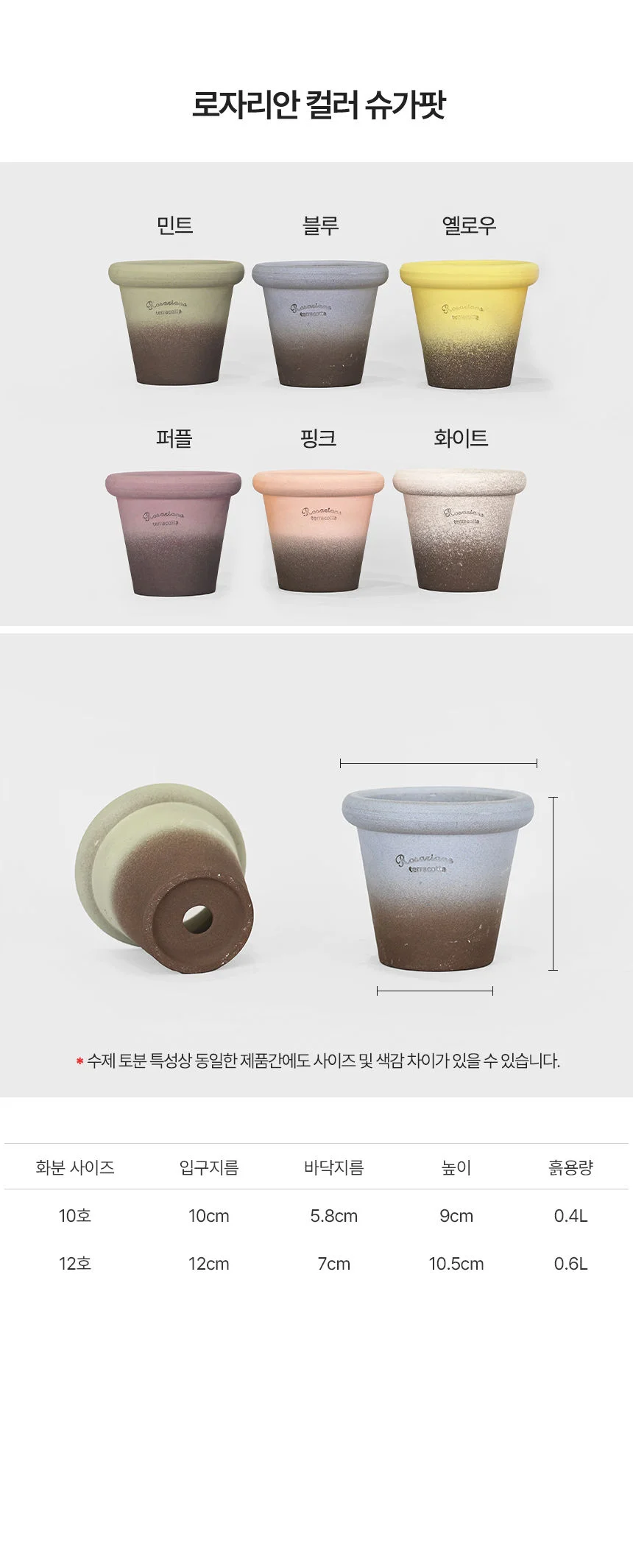 로자리안 컬러 슈가팟 상세3
