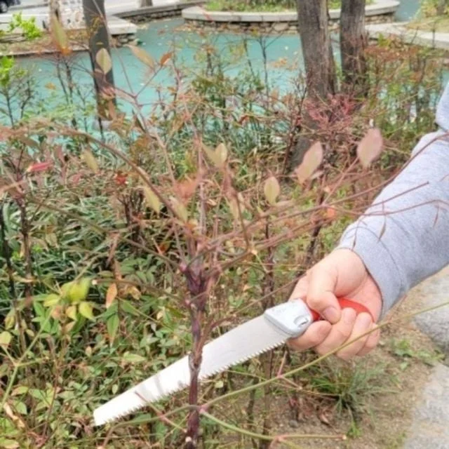 버튼형 케이스 과수집톱 200mm 나무톱