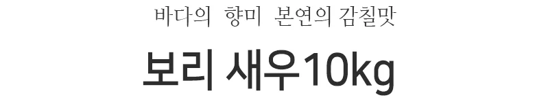 보리새우 10kg 상세2