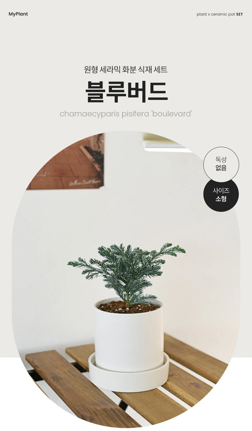 블루버드 원형 세라믹화분 받침세트 상세2