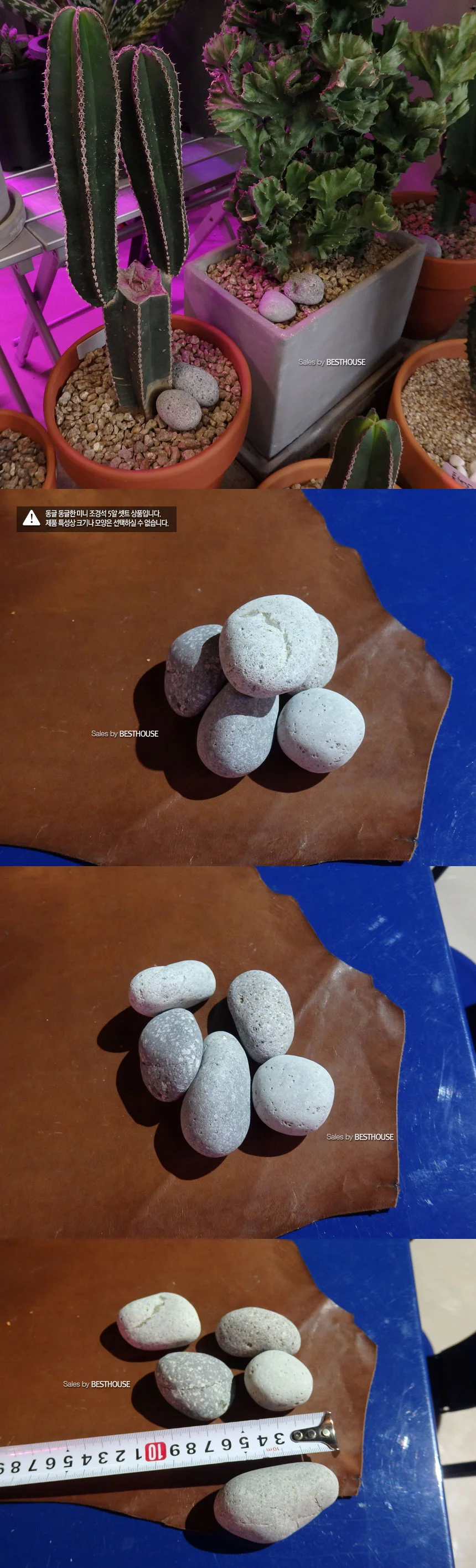 동글동글 에그스톤(30-50mm 중) 5알 상세1