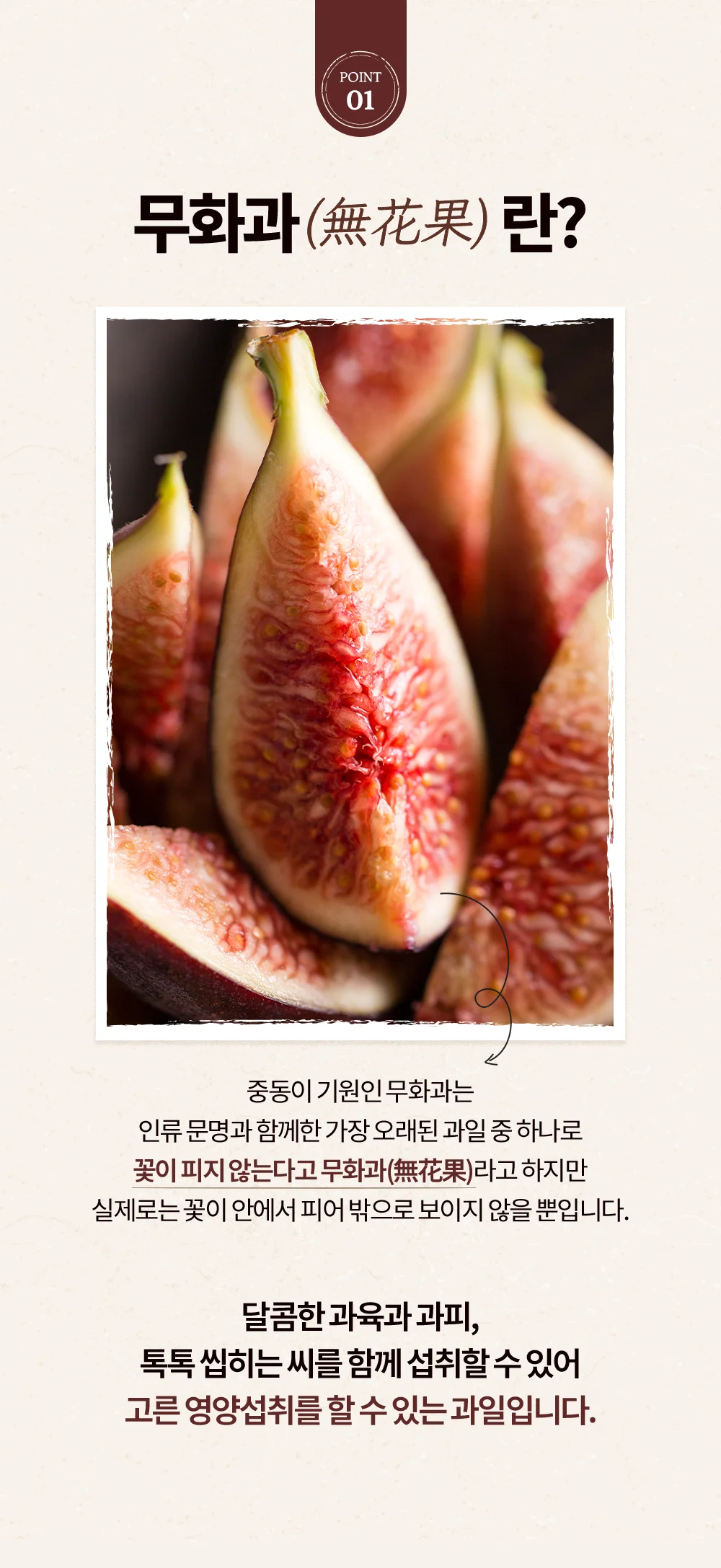 통째로 말린 무화과 3개(Tayer) 상세4