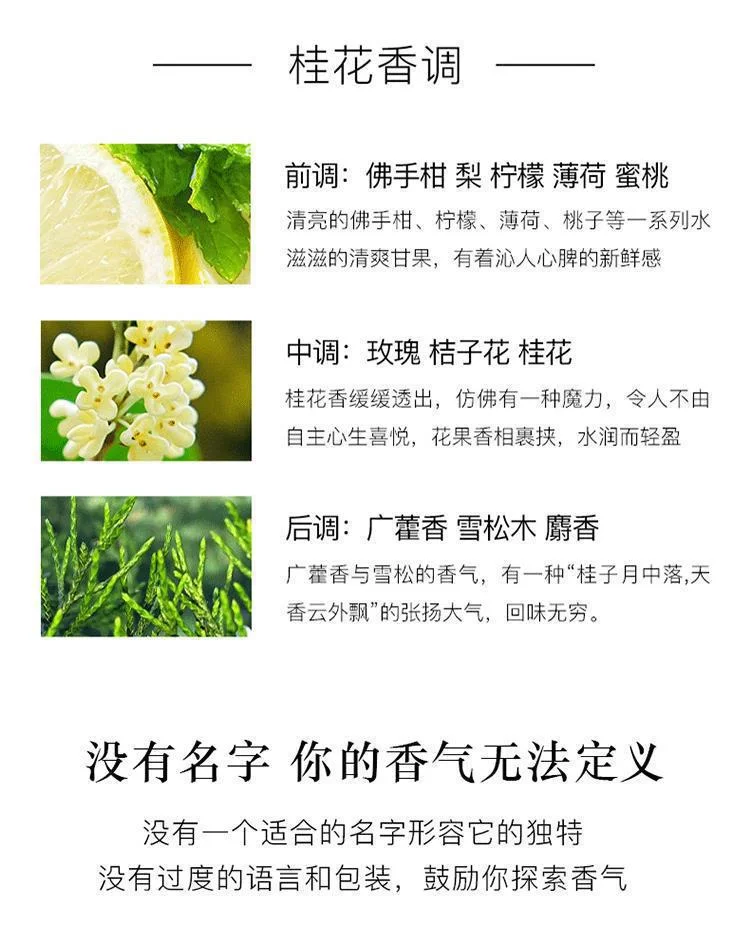 중동 향수 아랍 여성 오래 지속되는 강한 향기 전체 상세5