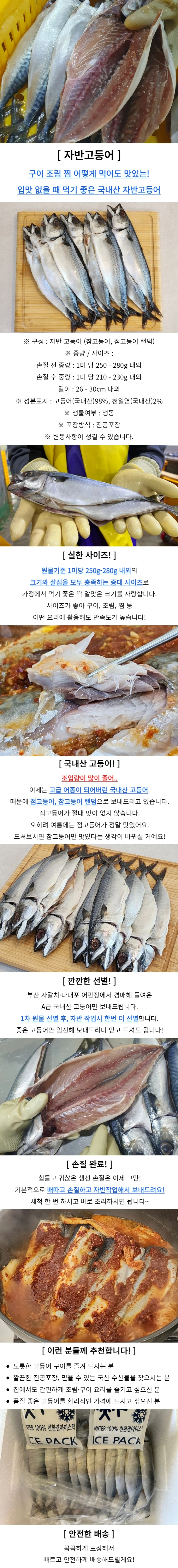 국내산 자반고등어 중대 20미 상세1