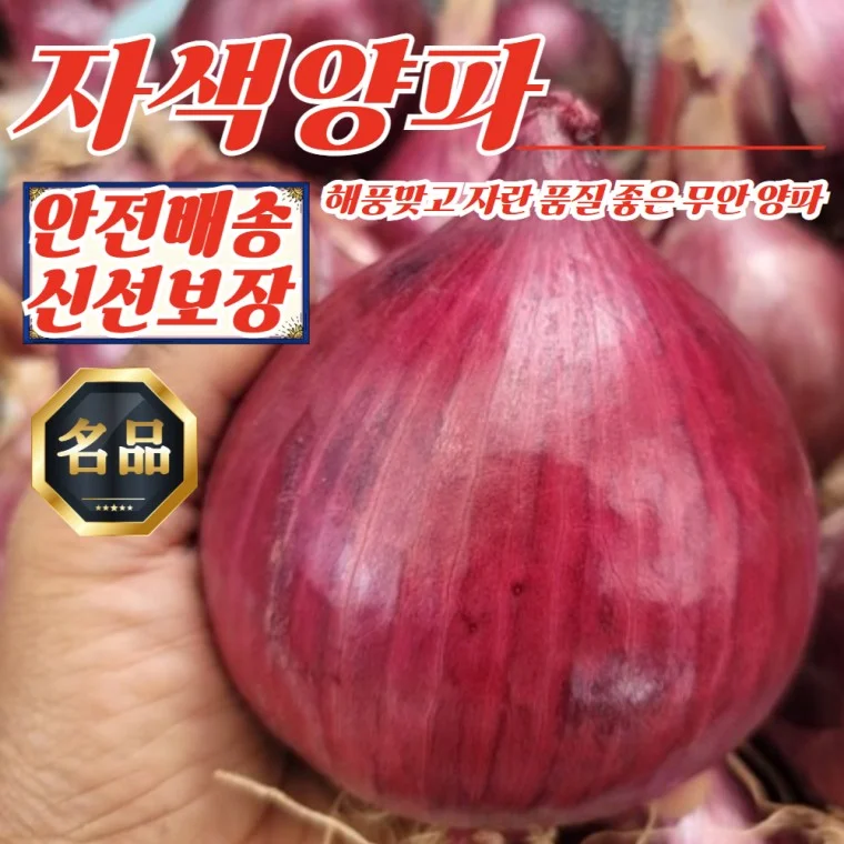 전남 무안 황토골 자색양파 특대혼합 5kg