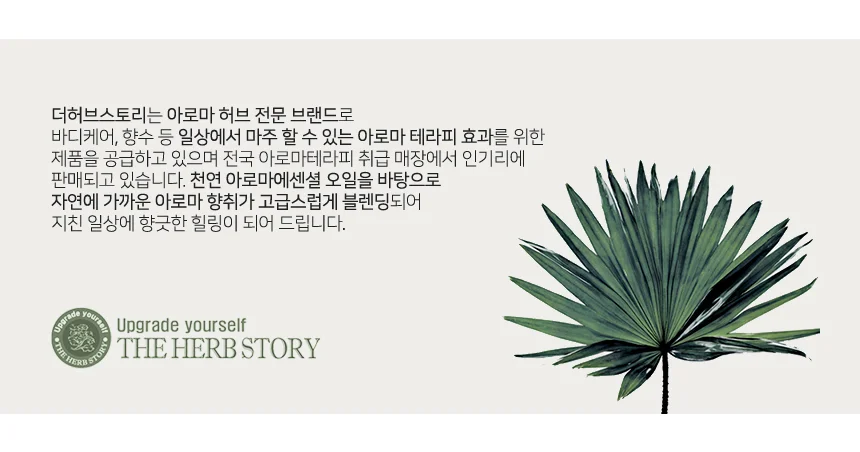 유칼립투스 에센셜 오일 12ml 유칼립투스 아로마 오일 천연 테라피 상세1