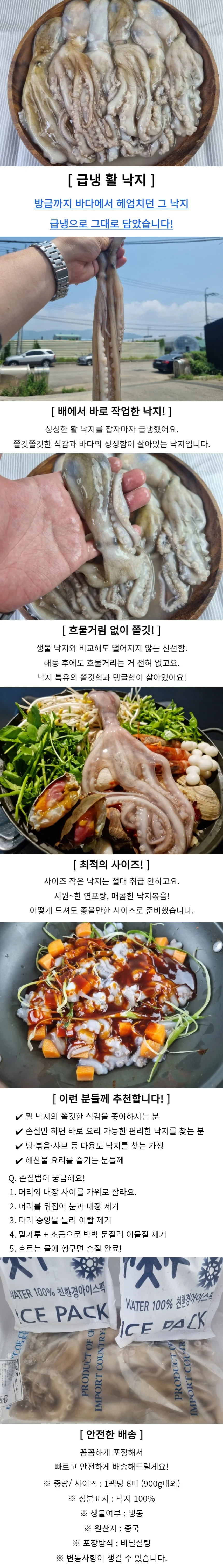 냉동 낙지 6미 낙지샤브샤브 낙지요리 상세1