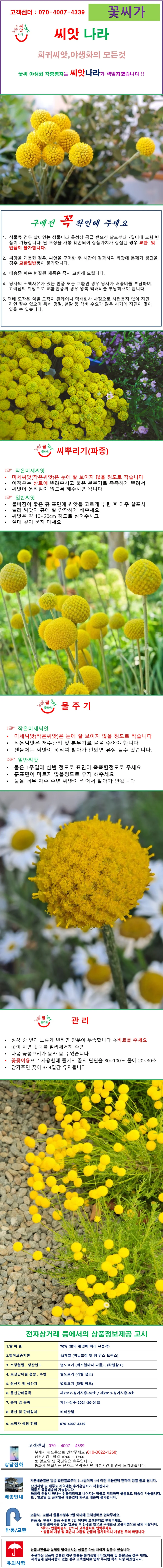휘버휴 노란볼 씨앗 15립 상세1
