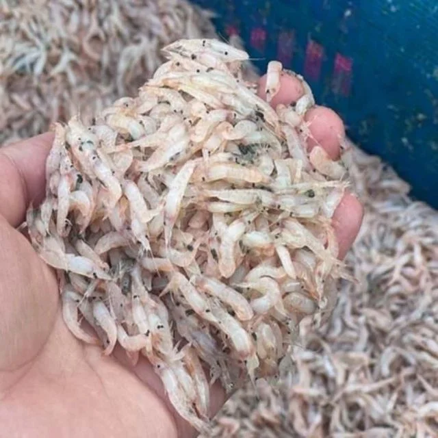 냉동 생새우 500g 냉동생새우 급냉새우