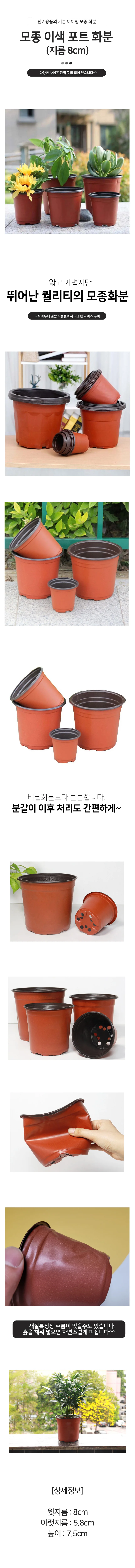 모종 이색 포트 화분(지름 8cm) 상세1
