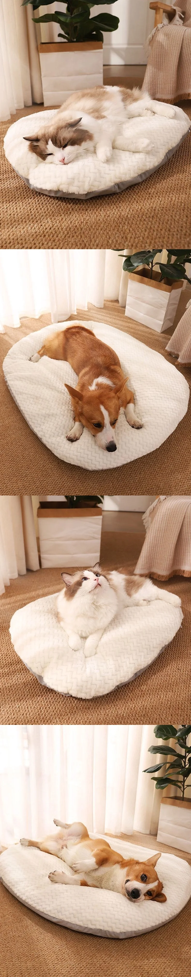 PET 강아지 방석 쿠션 꿀잠 무중력 방석 상세5