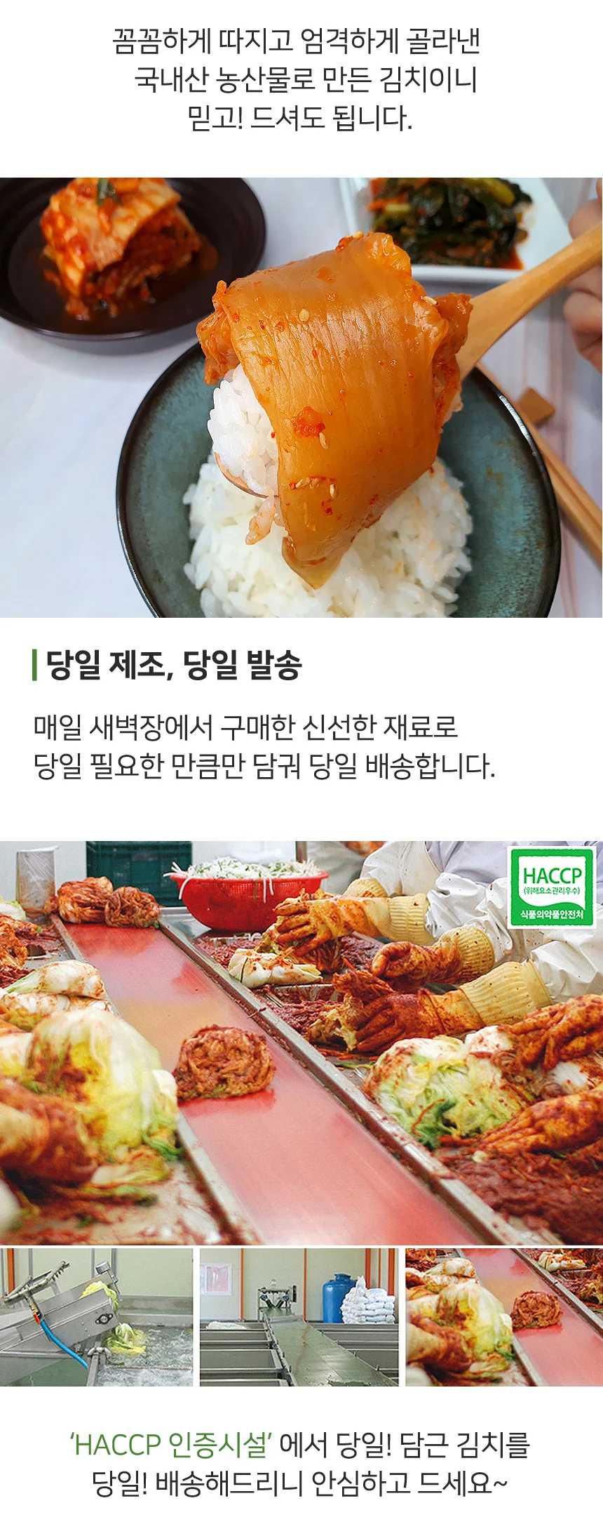 전라도 당일제조 자연숙성 묵은지 김치 1kg (100% 국산재료) 상세4