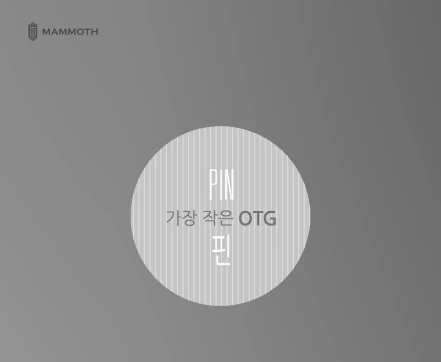 매머드 메모리 USB OTG 64G 스마트폰 PC 데이터 이동 상세1