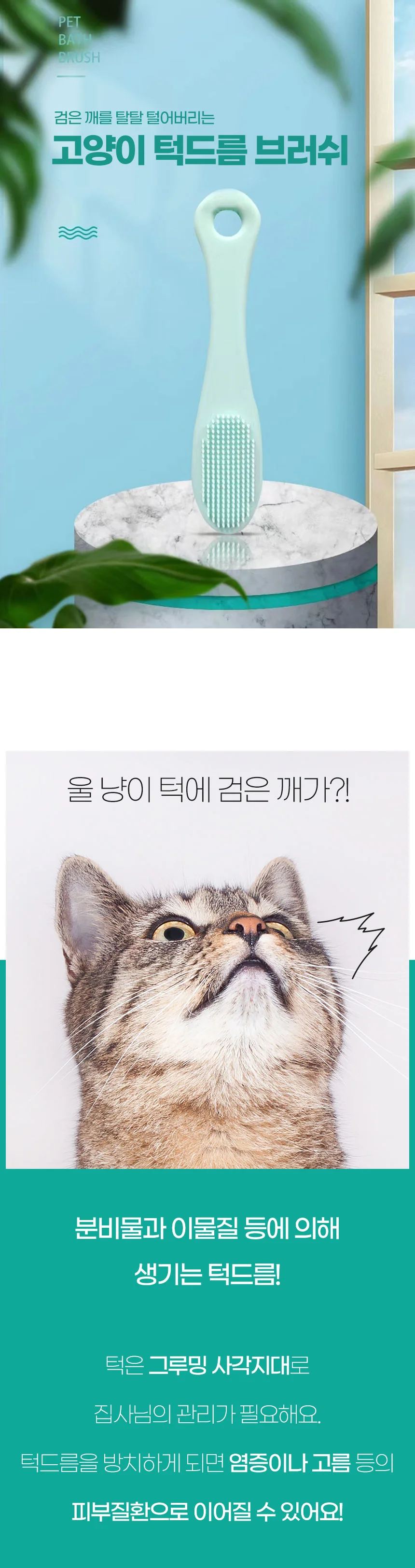 PET 고양이 턱드름 브러쉬 꼬드름 블랙헤드 관리 상세1
