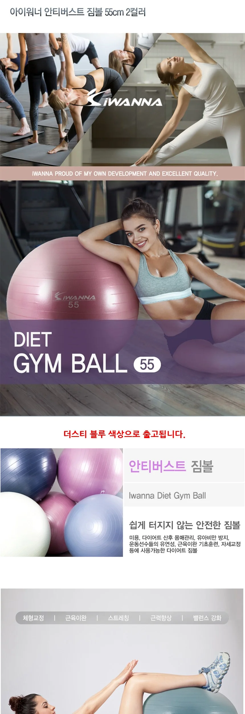 안티버스트 짐볼 55cm 더스티 블루 상세2