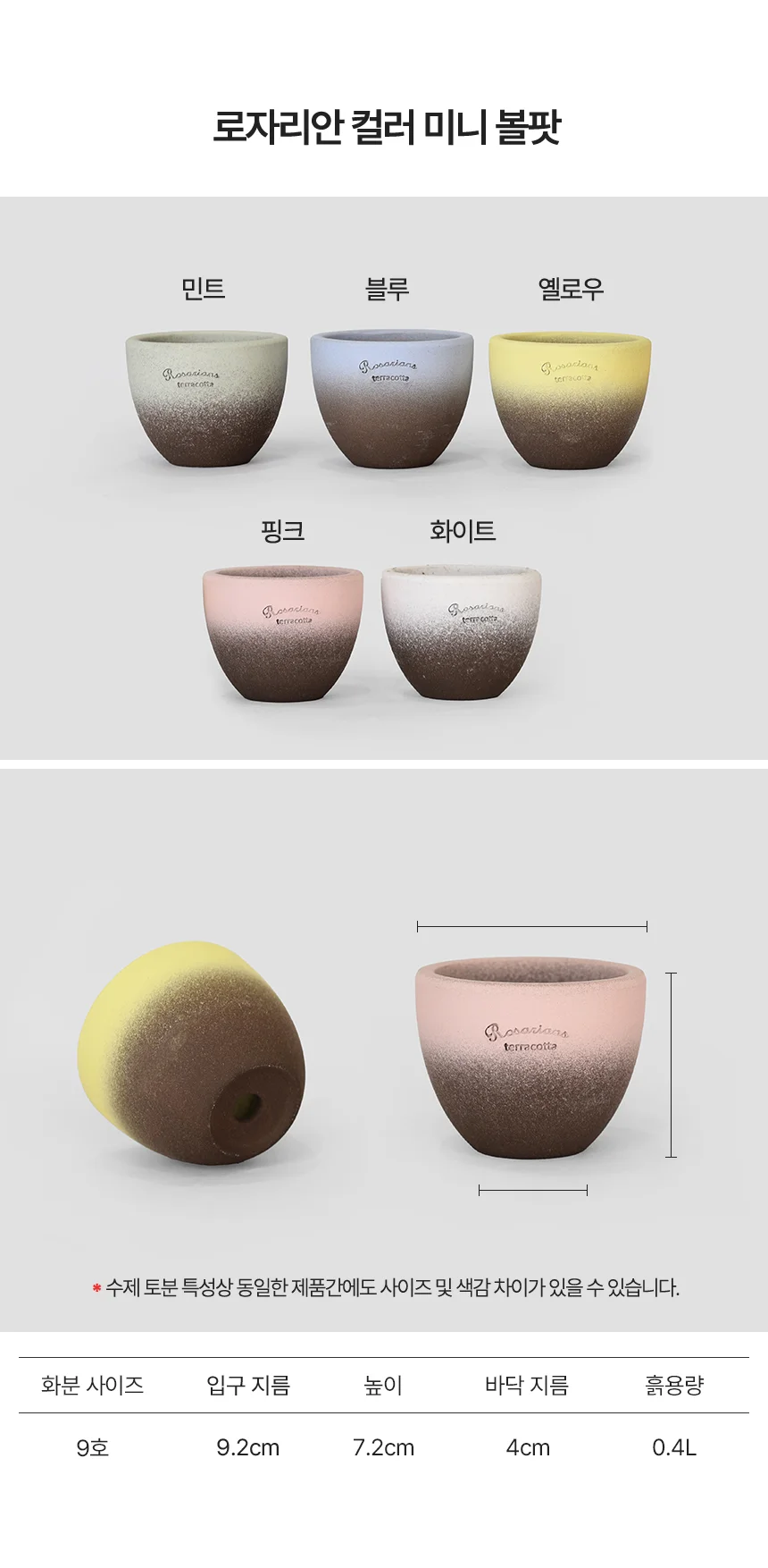 로자리안 컬러 미니 볼팟 9호 상세3